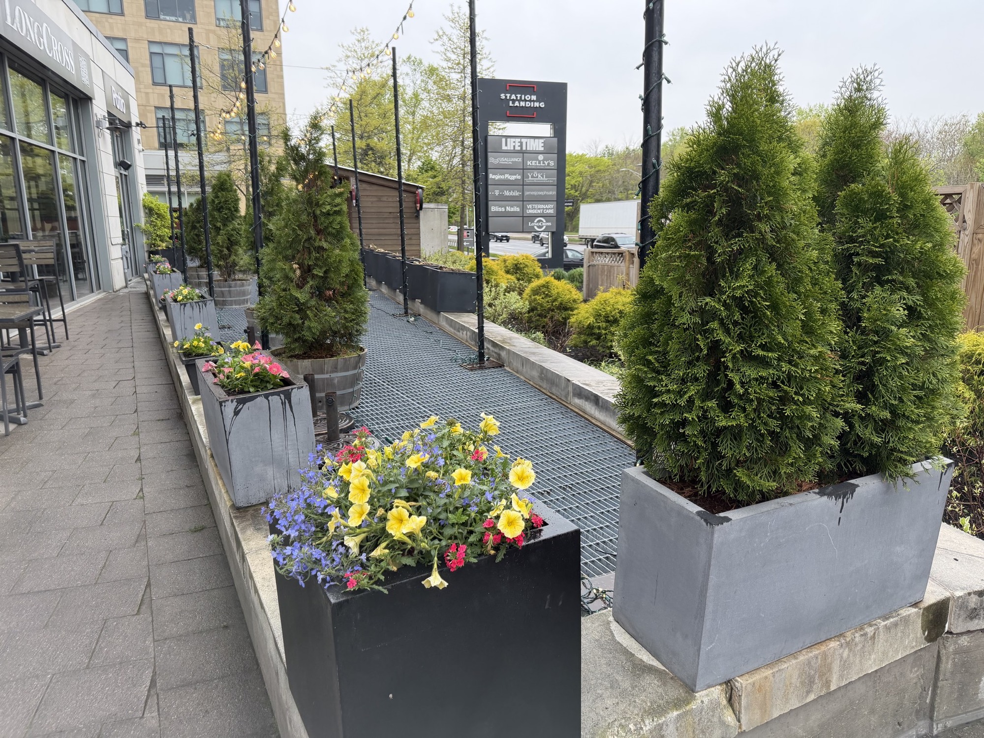 Commercial storefront with seasonal planters and clipped evergreens on a Sasso site