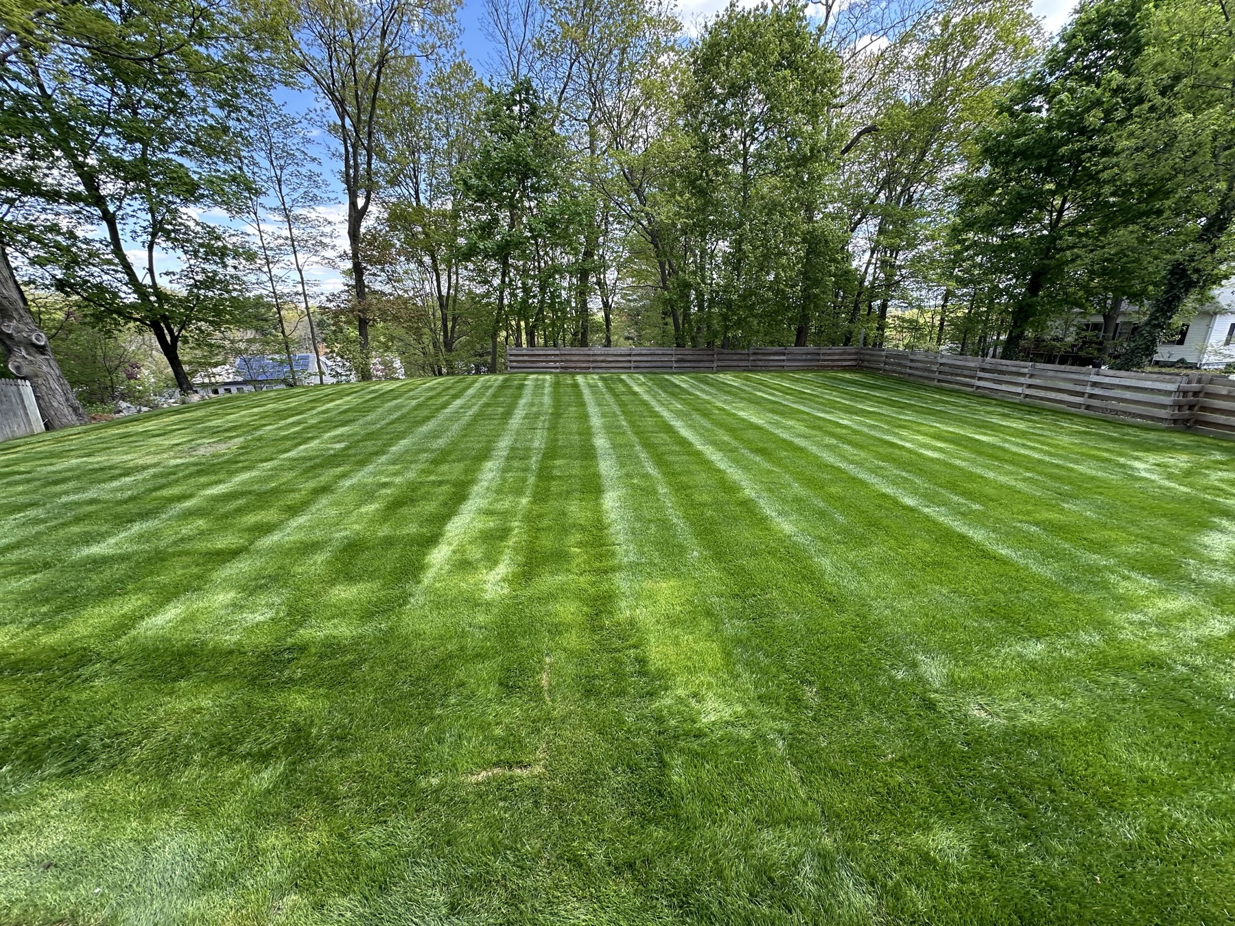 Freshly mowed and striped backyard lawn enclosed by a wood fence at a residential property